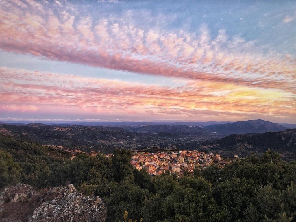 Orgosolo B&B Sardegna Zewnętrze zdjęcie