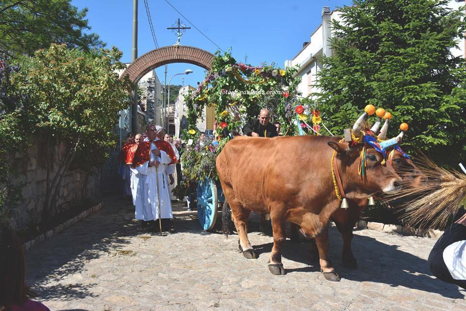 Orgosolo B&B Sardegna Zewnętrze zdjęcie